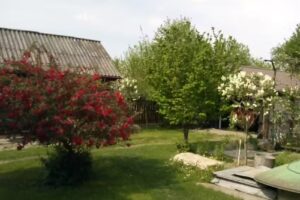 Otthon a Coana Chiv&aacute;ban