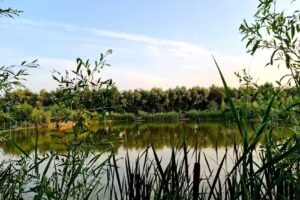 Étang de loisirs La Saccami