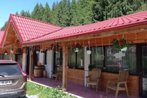 ALPINE HOUSE