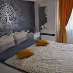 Apartament Central