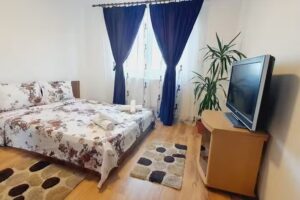 Apartament Cosmin Orsova