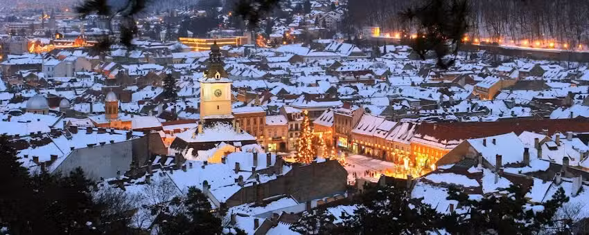 Арсе 35 Бутик