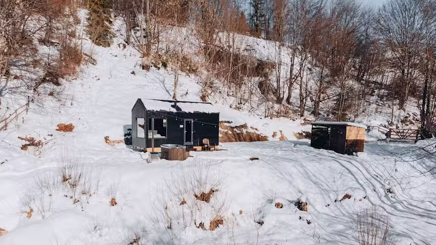 Ash &ndash; Nid d&rsquo;Ash