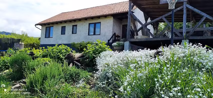 Bellevue Beam House