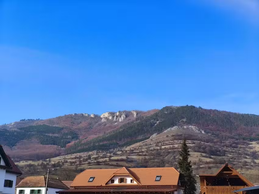 Belvedere Torock&oacute;