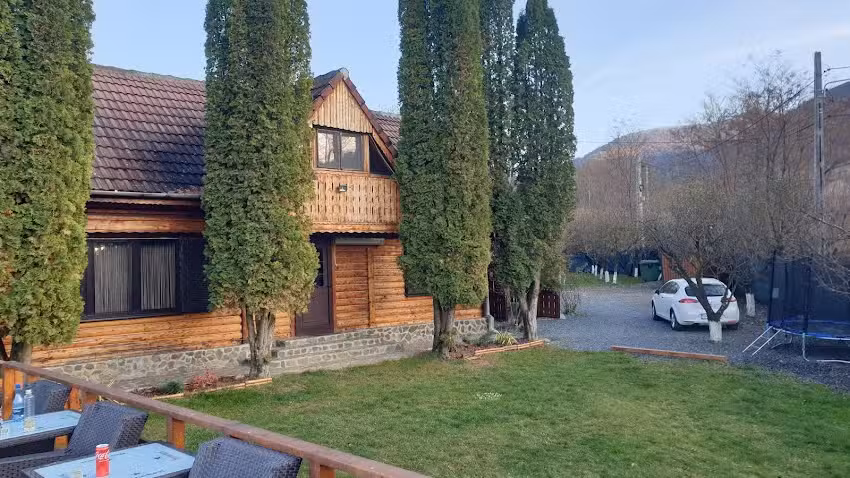 Вила Албинута