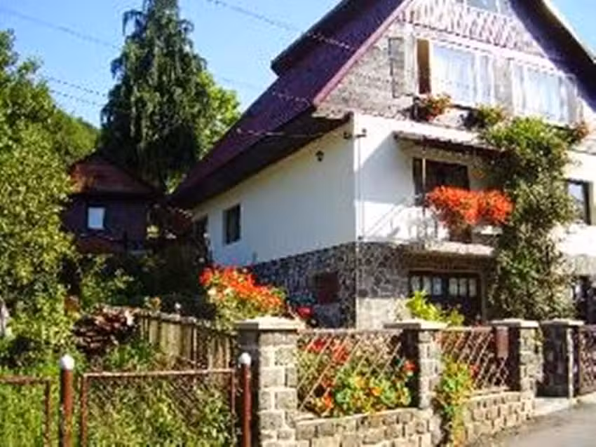 АНИНА ВИЛИЦА