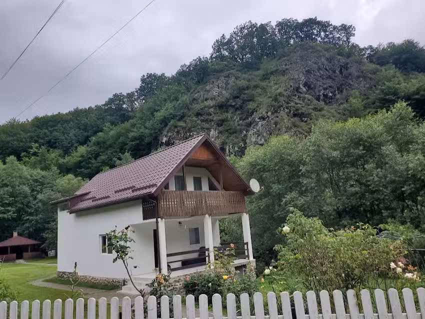 Шале Арис Баишоара