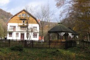 Cottage Berzovita
