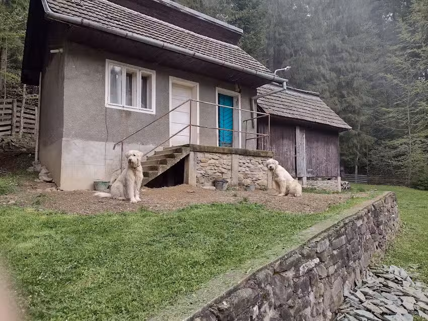 Викендица Бота