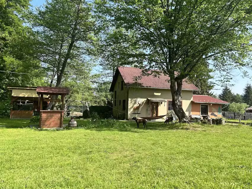 Cabana &ldquo;Căsuța din padure&rdquo;