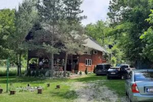 Celestial Buru Fah&aacute;z