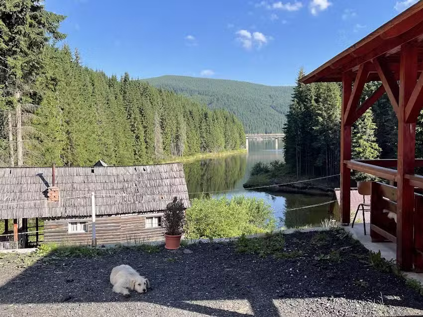 Вилата на елените