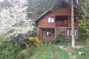 Capanna della Coca-Cola