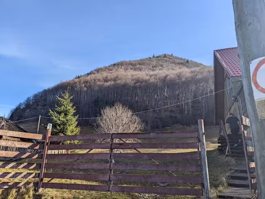 Cabana Colt de Rai