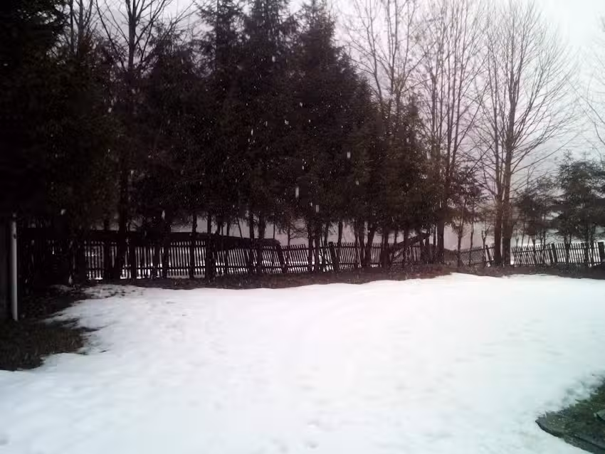 Вила Коснеа