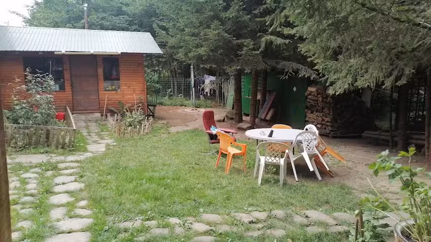 Chalet avec des sapins