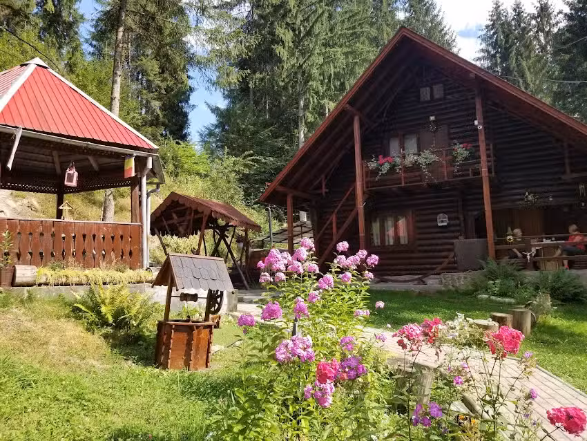 Le chalet parmi les sapins