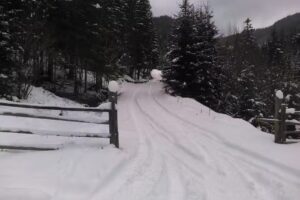 Cabana Hotar ROMSILVA