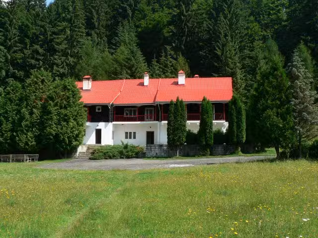 Брвнара у Лепшулету