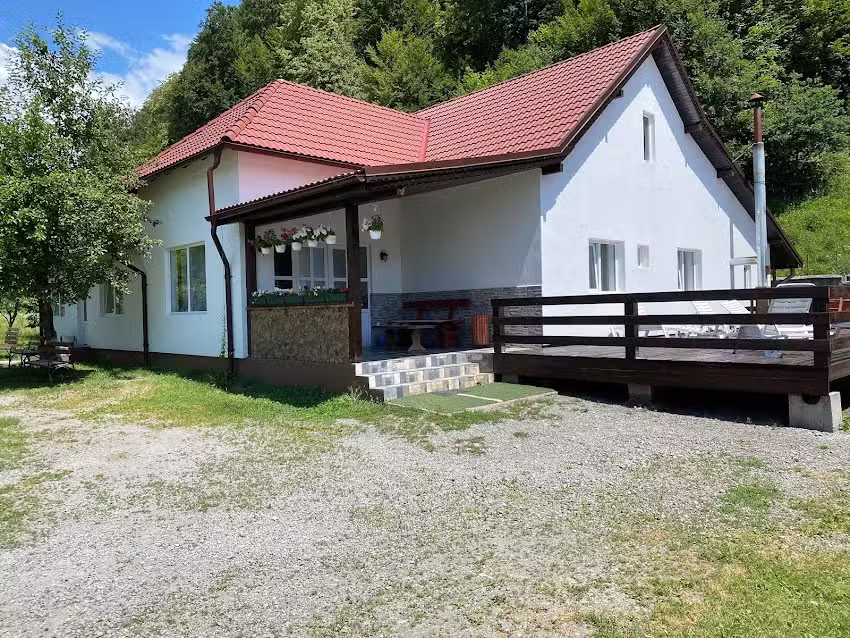 Брвнара Лирца Растолита