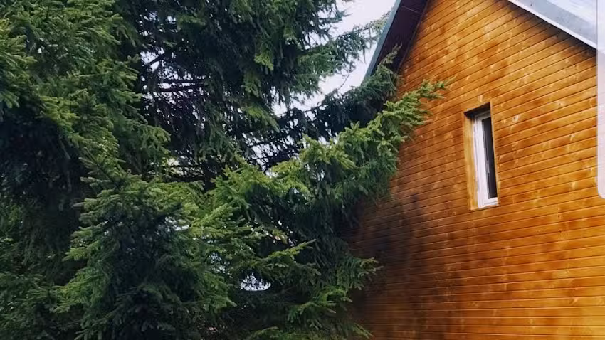 Хижата на Джони