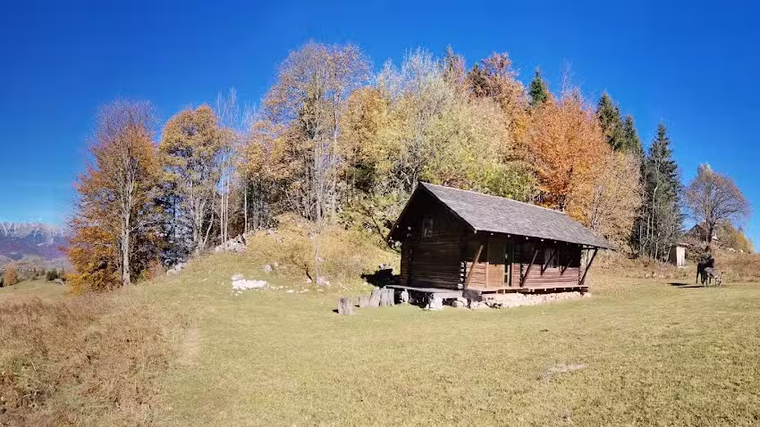 Брвнара Моецију