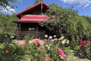 Викендица &ndash; Разван