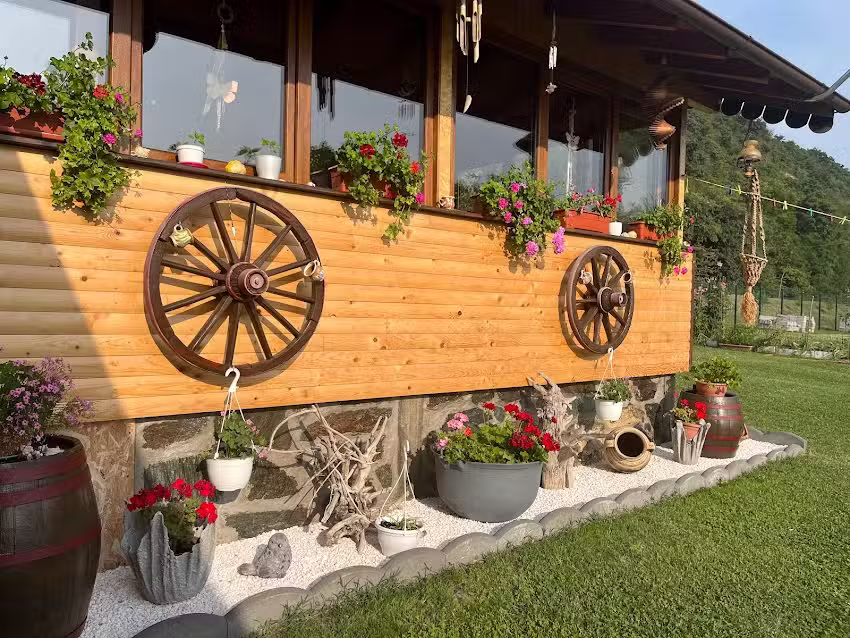 Cabana Ribiș