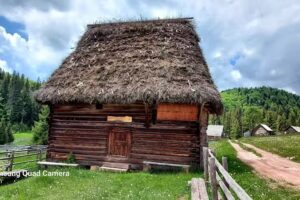 Вила Скаришоара