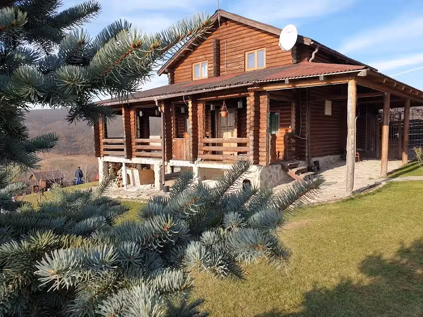 Cabina dei camion Top