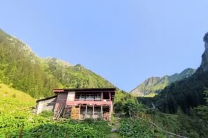 Вила &bdquo;Тауърс&ldquo;