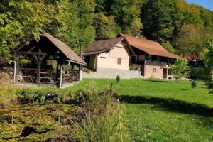 Chalets Valea Neagra 1 et 2