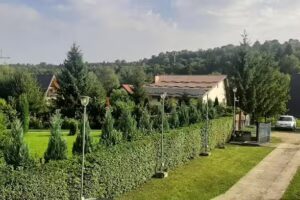 Викендица Валентина