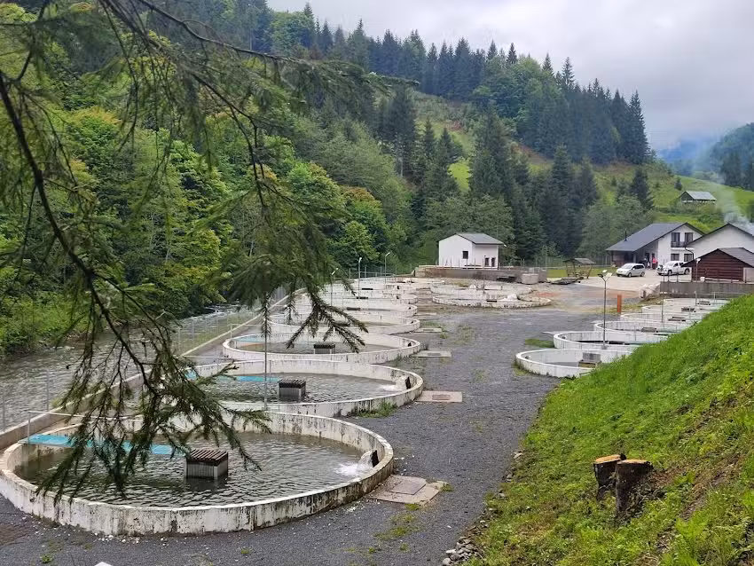Cabane &ndash; PĂSTRĂVĂRIA PARVA