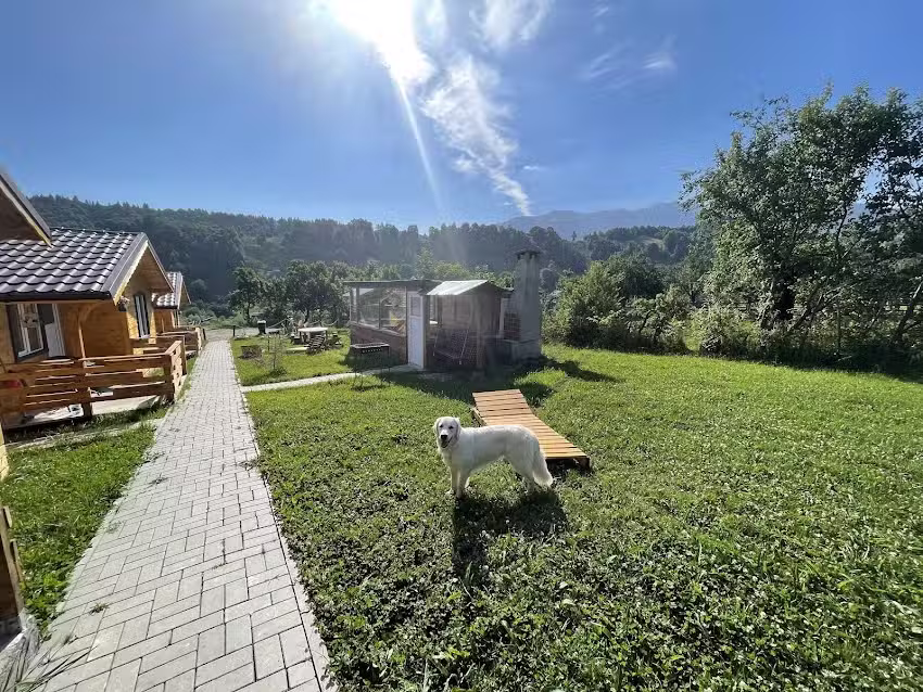 Cabine Luca Ama Bran