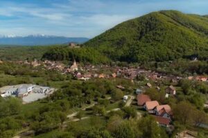 Камповање ананаса