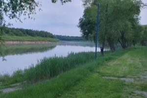 Camping Pasărea