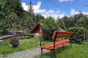 Камп салата