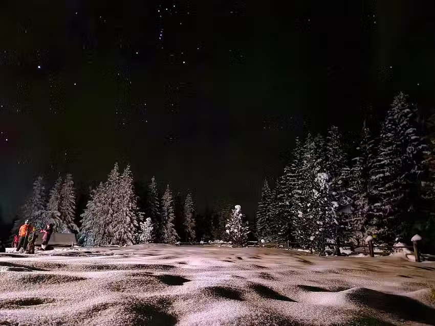 Горско стопанство Мънсел Кантон