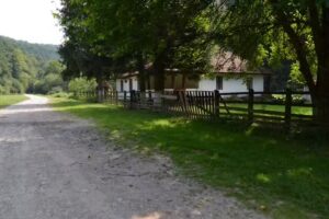 Canton forestier de Babina