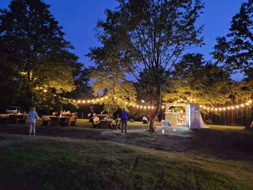 Il carro delle stelle