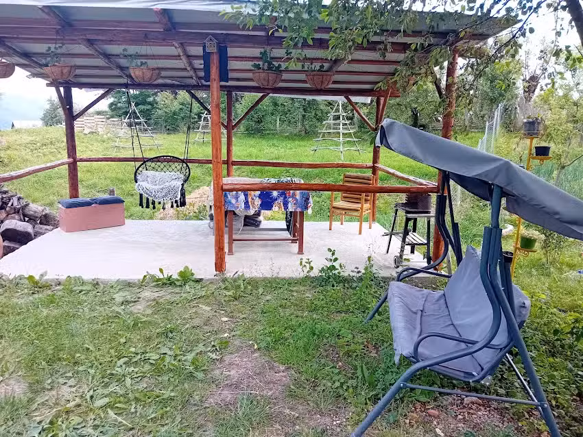 Алијина кућа