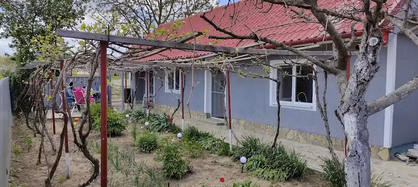 Кућа АлиБог