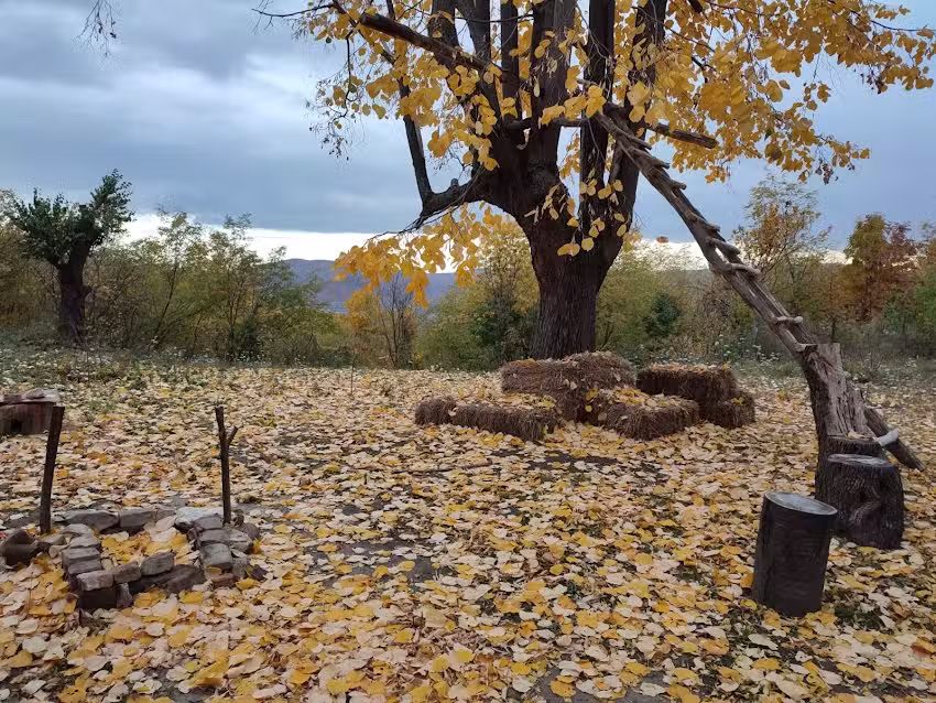 Кућа Аникута