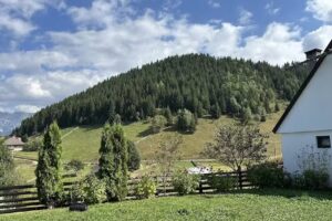 Кућа Бранеску