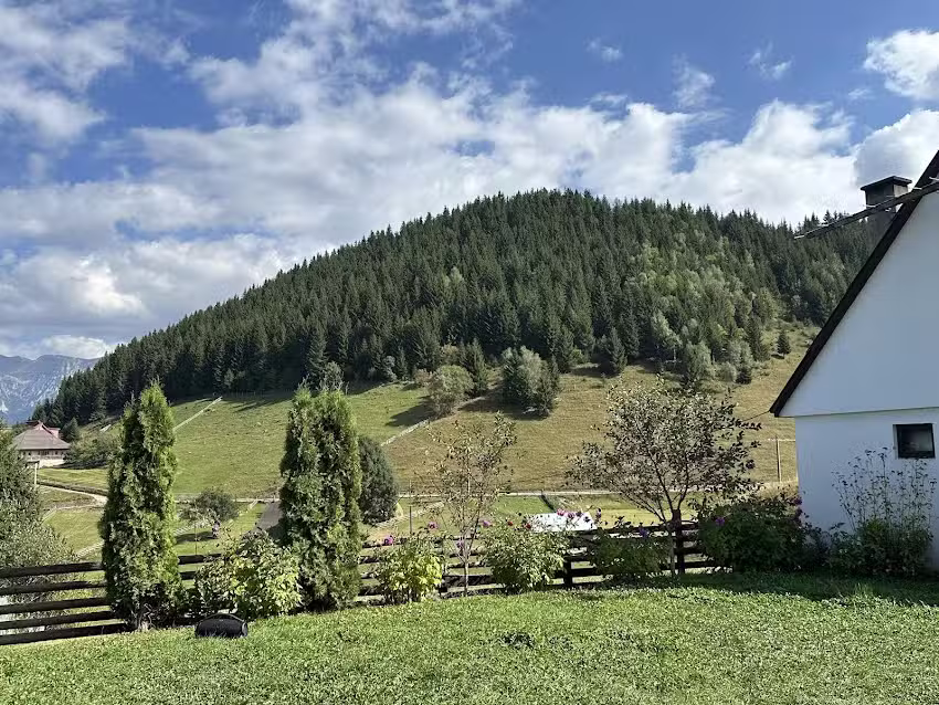 Кућа Бранеску