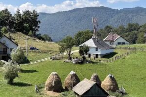 Nagysz&uuml;lők H&aacute;za Ciocanu