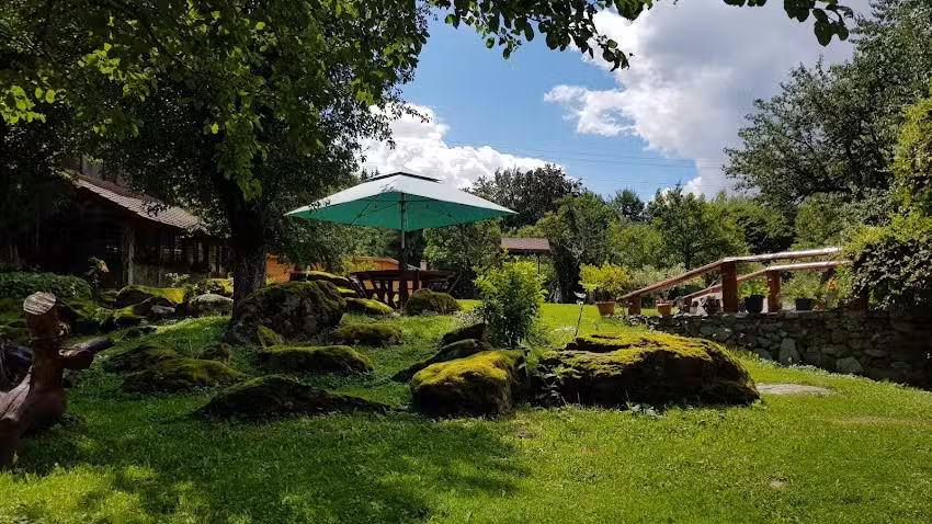 Grandpa&rsquo;s House Vistisoara (14+)