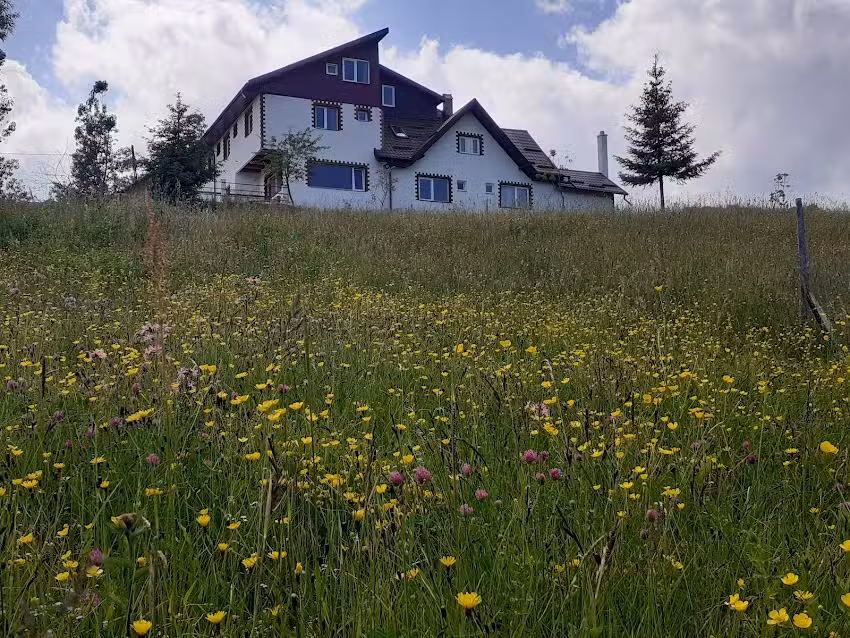 Каталин Хаус